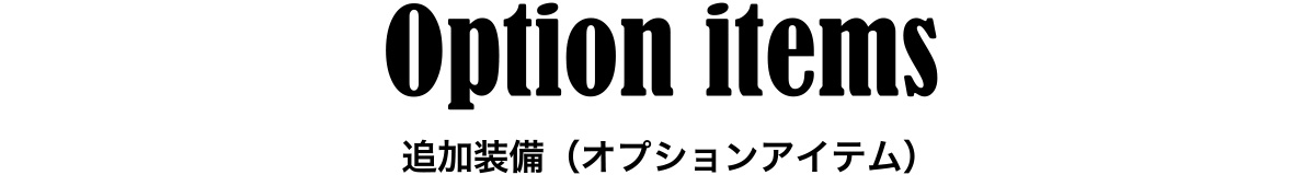 Option items 追加装備（オプションアイテム）